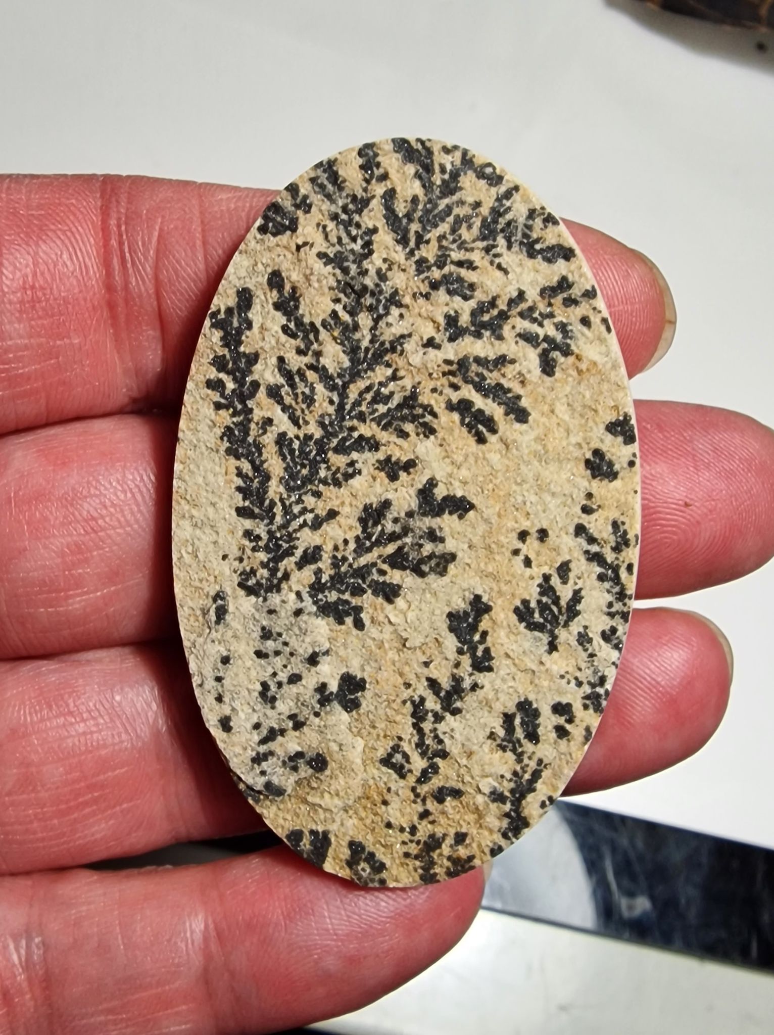 65x41mm Psilomelane Dendrite cabochon