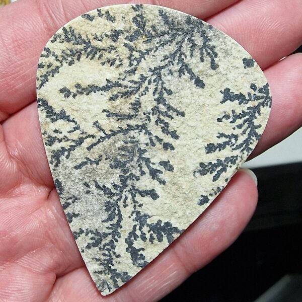 Psilomelane Dendrite