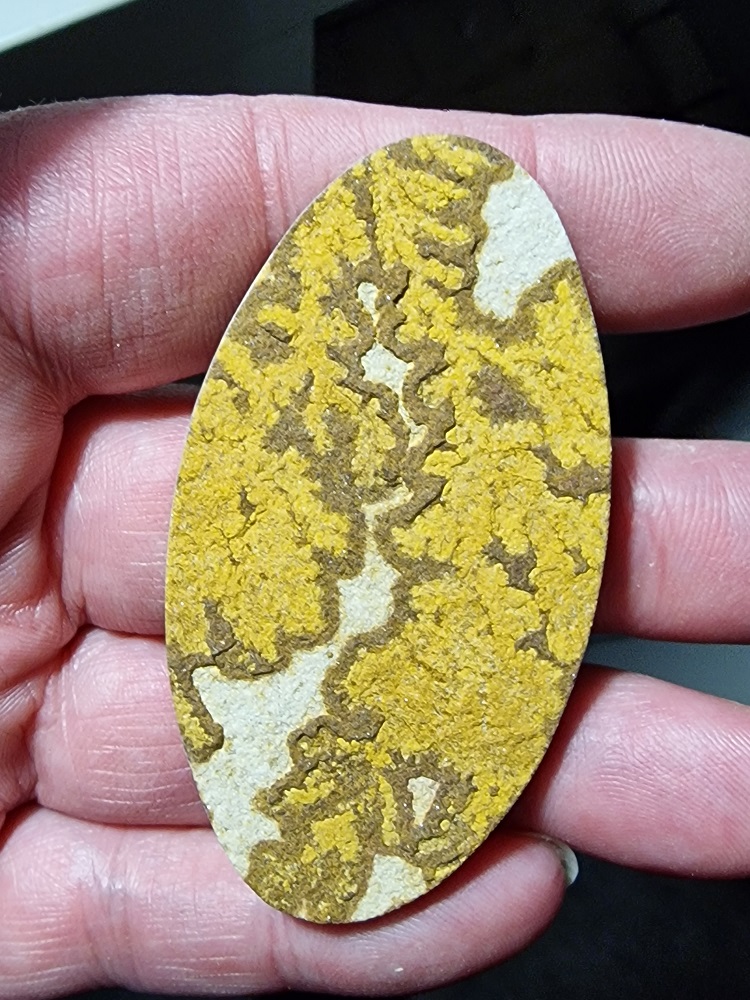 67x36mm Psilomelane Dendrite cabochon