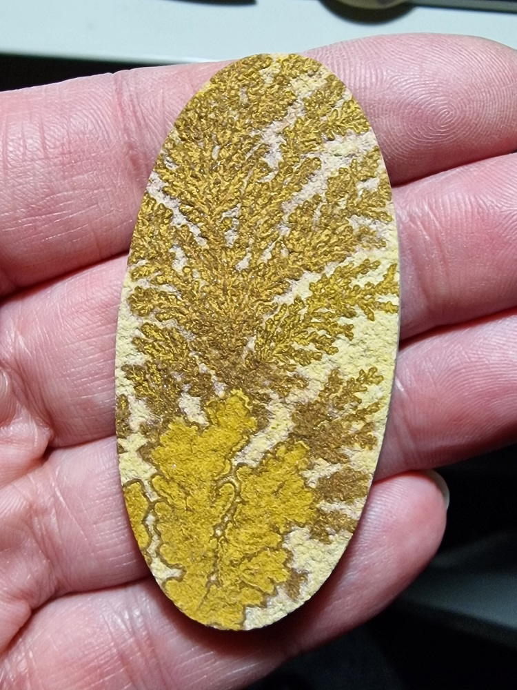 65x32mm Psilomelane Dendrite cabochon