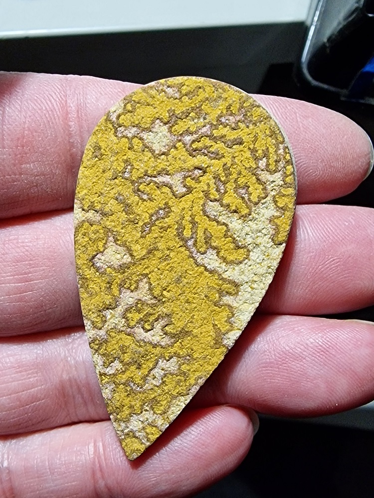 59x32mm Psilomelane Dendrite cabochon