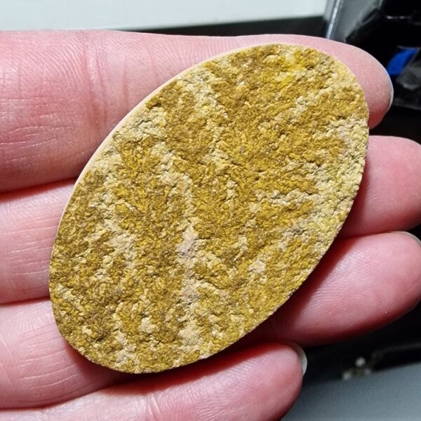 58x36mm Psilomelane Dendrite cabochon