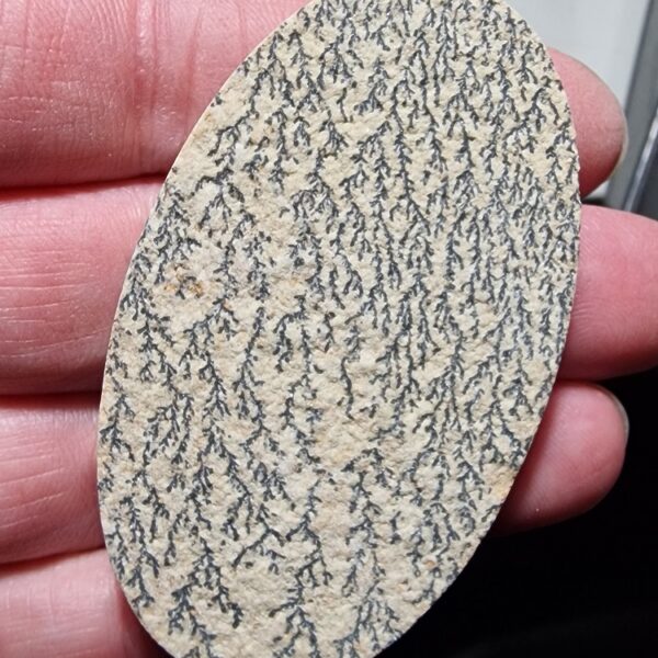 67x39mm Psilomelane Dendrite cabochon