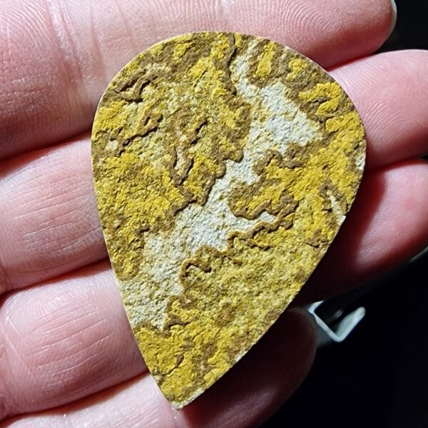 55x39mm Psilomelane Dendrite cabochon
