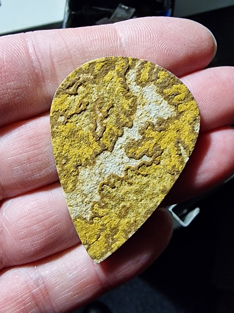55x39mm Psilomelane Dendrite cabochon