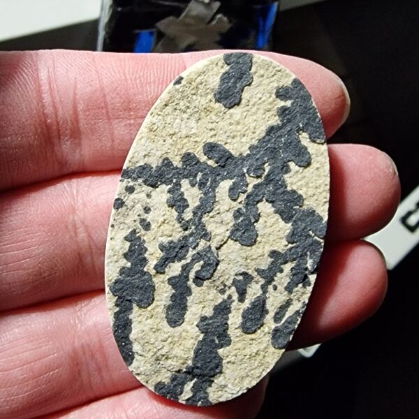 56x34mm Psilomelane Dendrite cabochon