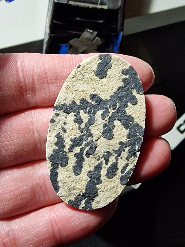 56x34mm Psilomelane Dendrite cabochon
