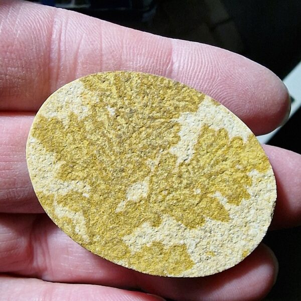 48x36mm Psilomelane Dendrite cabochon