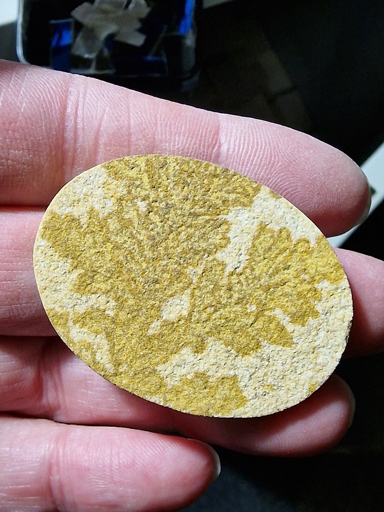 48x36mm Psilomelane Dendrite cabochon