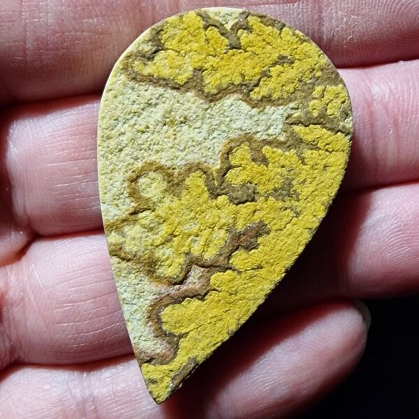 52x32mm Psilomelane Dendrite cabochon