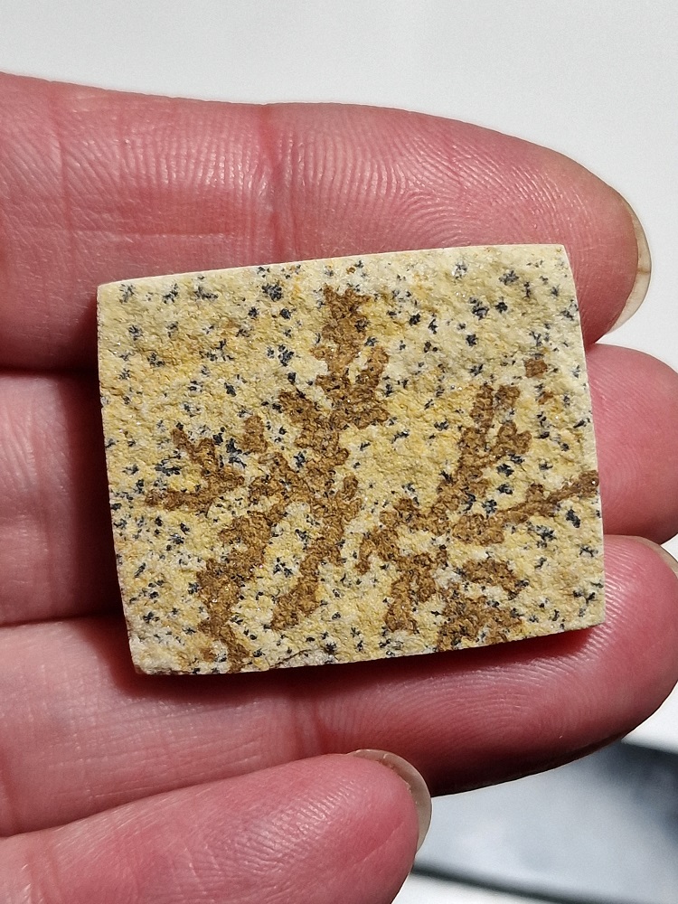 33x27mm Psilomelane Dendrite cabochon