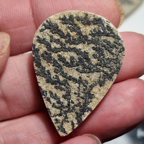 38x28mm Psilomelane Dendrite cabochon