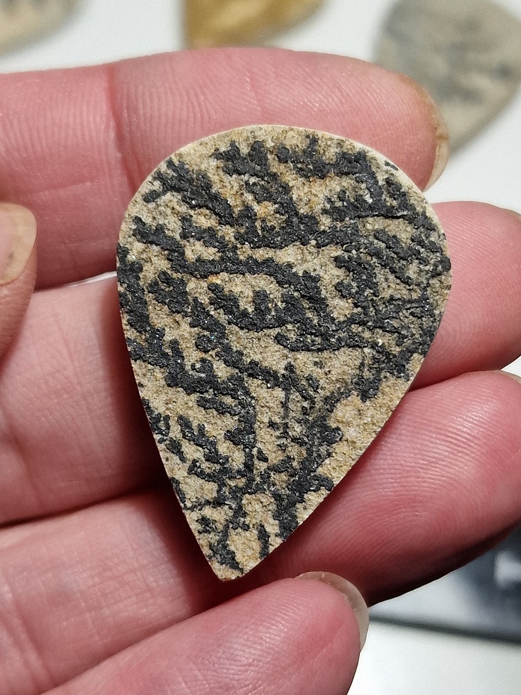 38x28mm Psilomelane Dendrite cabochon
