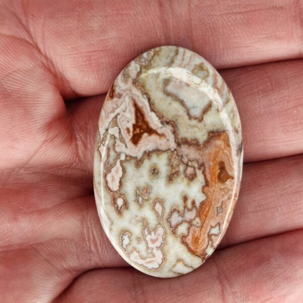 43x28mm Rosella jasper cabochon