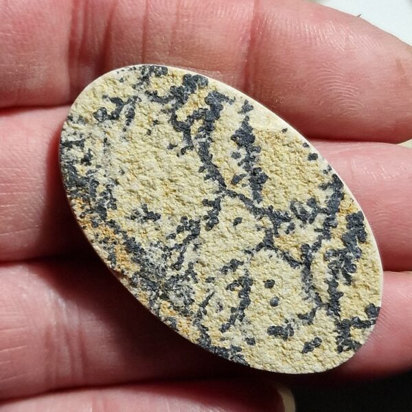 48x30mm Psilomelane Dendrite cabochon