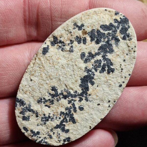 55x33mm Psilomelane Dendrite cabochon