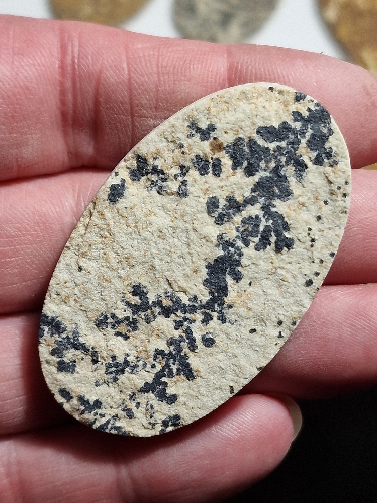 55x33mm Psilomelane Dendrite cabochon