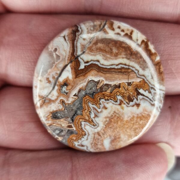 33mm round Rosella jasper cabochon