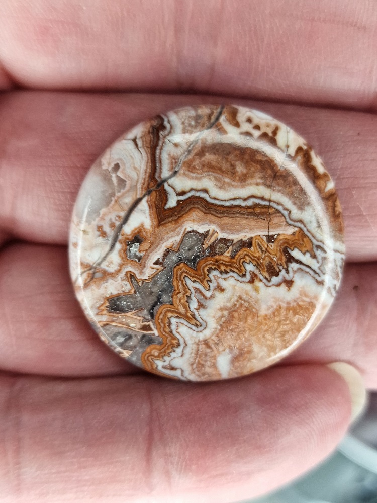 33mm round Rosella jasper cabochon