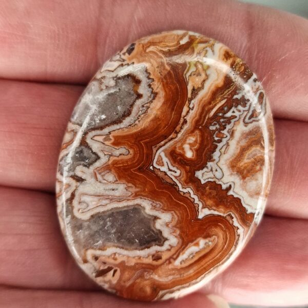 Rosella Jasper
