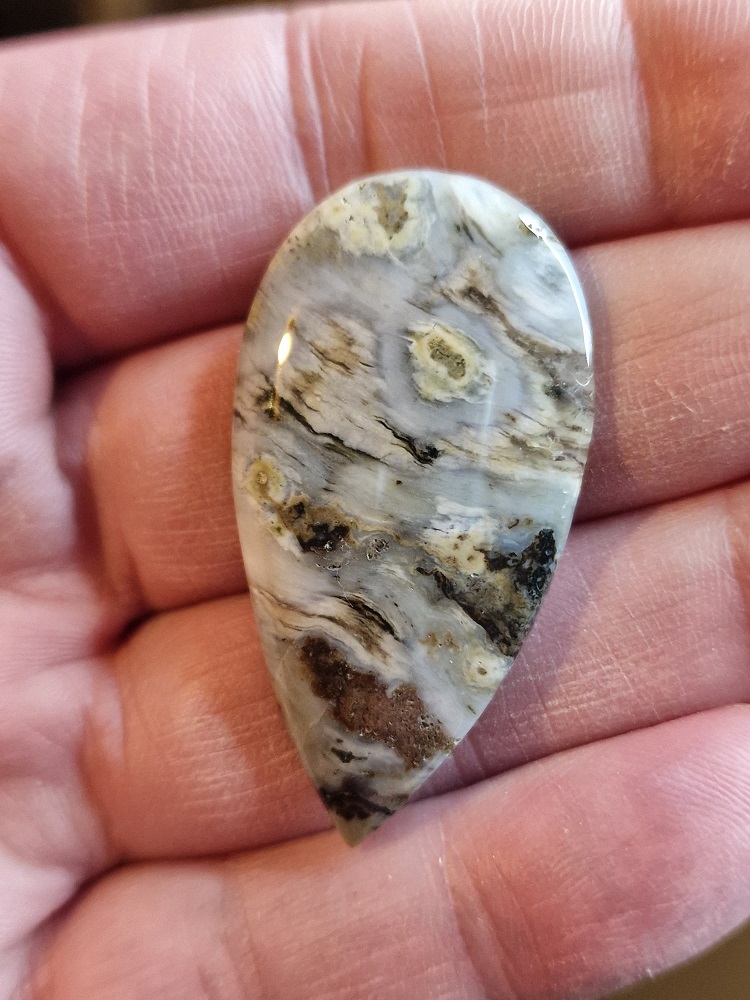45x23mm Ocean jasper cabochon