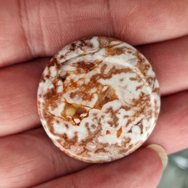 33mm round Rosella jasper cabochon