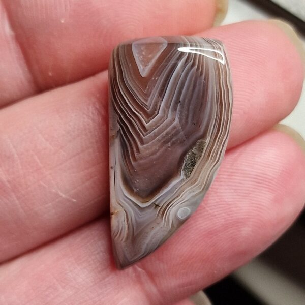 32x15mm Botswana agate cabochon