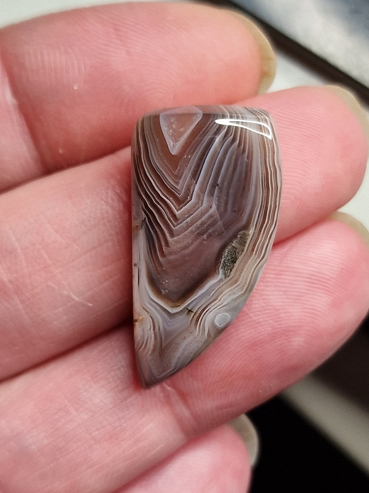 32x15mm Botswana agate cabochon