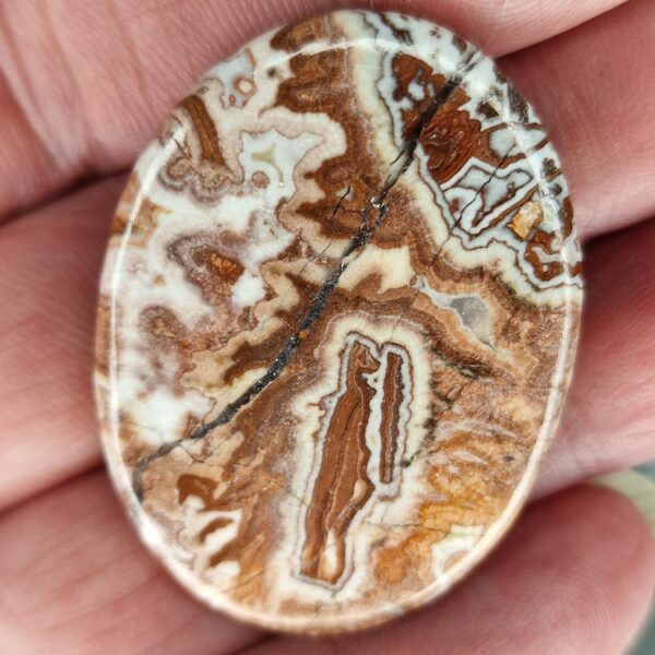 44x32mm Rosella jasper cabochon