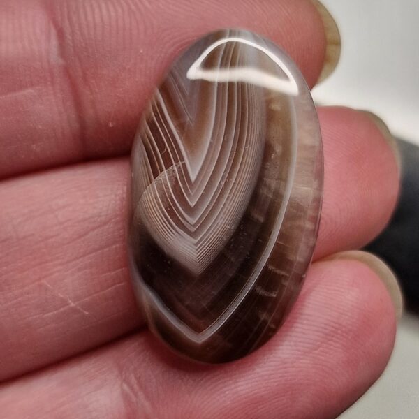 32x19mm Botswana agate cabochon