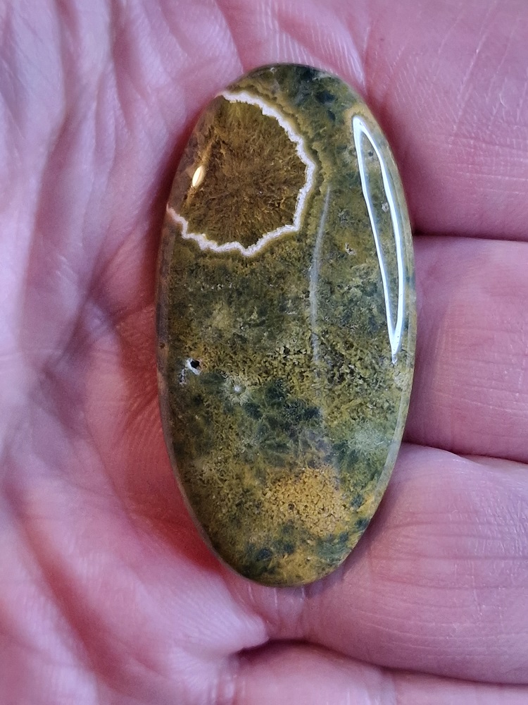 45x21mm Ocean jasper cabochon