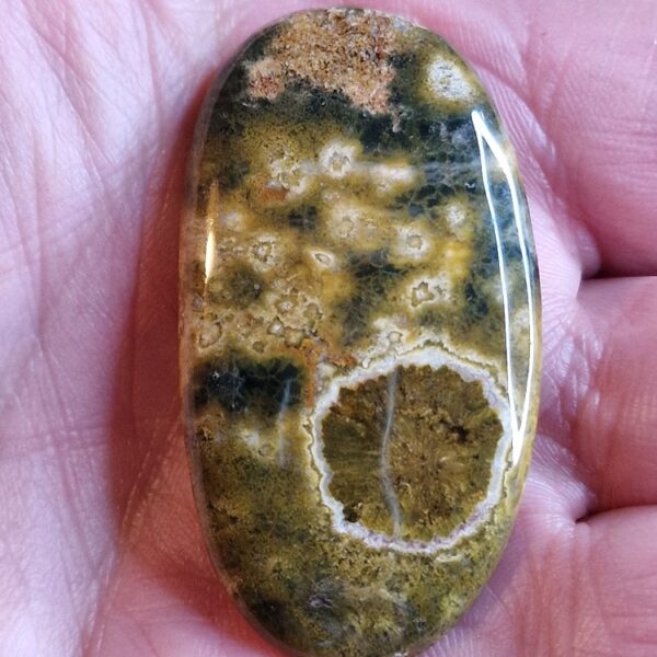 47x26mm Ocean jasper cabochon