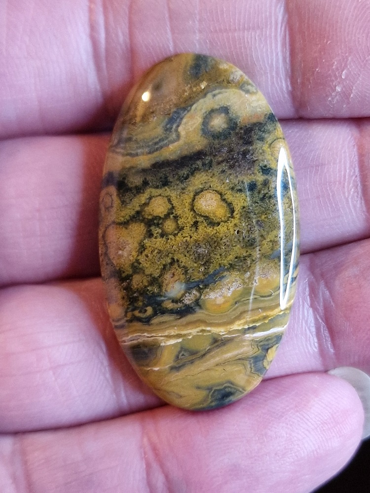 42x24mm Ocean jasper cabochon