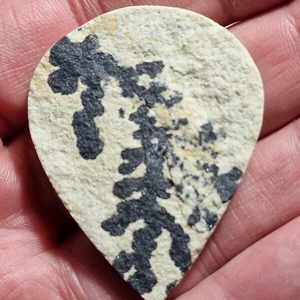 48x39mm Psilomelane Dendrite cabochon