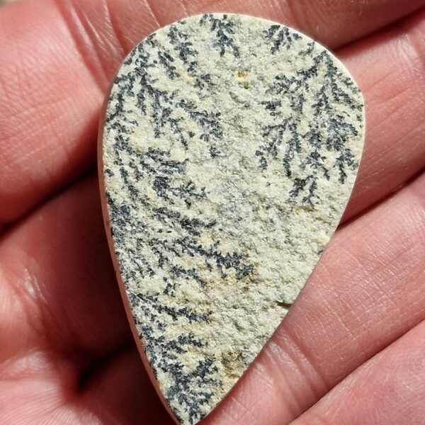44x28mm Psilomelane Dendrite cabochon
