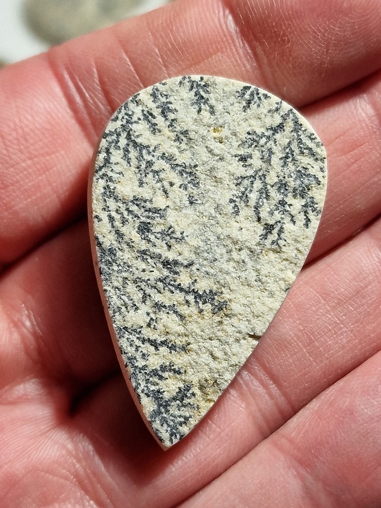 44x28mm Psilomelane Dendrite cabochon