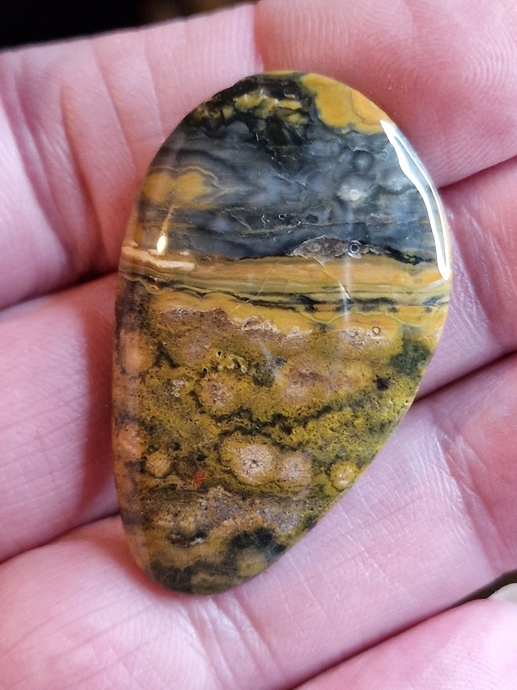 44x27mm Ocean jasper cabochon