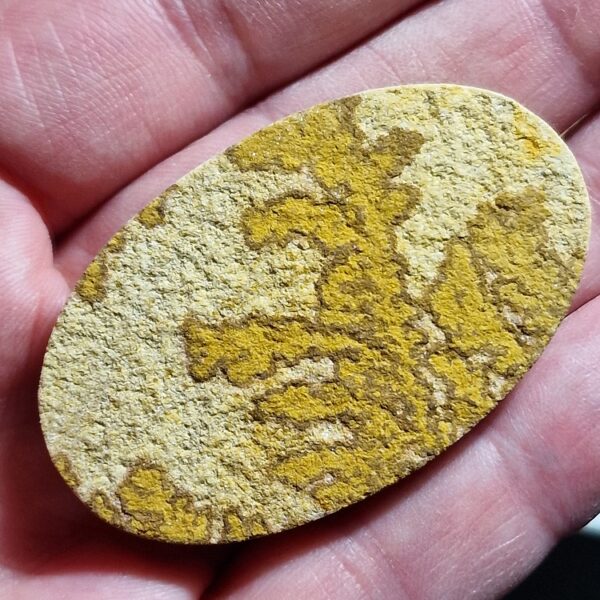 54x34mm Psilomelane Dendrite cabochon