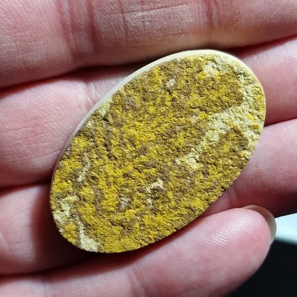 44x25mm Psilomelane Dendrite cabochon