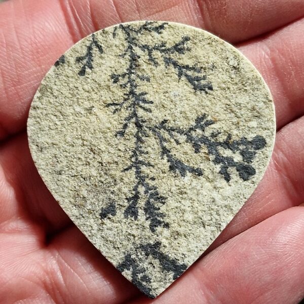 48x43mm Psilomelane Dendrite cabochon