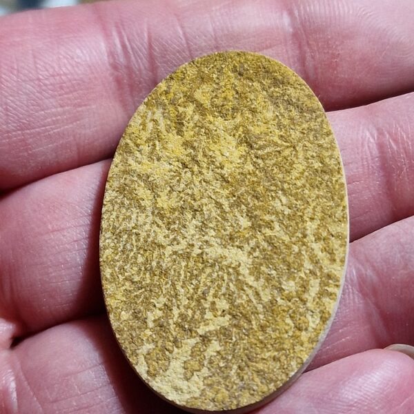 46x31mm Psilomelane Dendrite cabochon