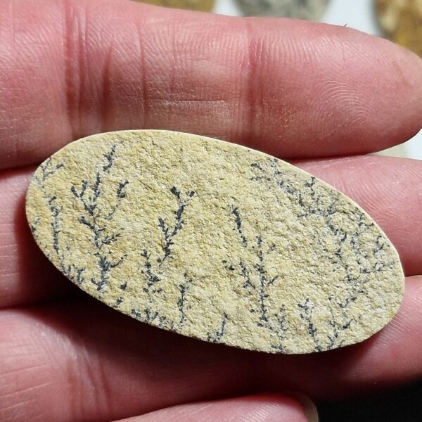 50x25mm Psilomelane Dendrite cabochon
