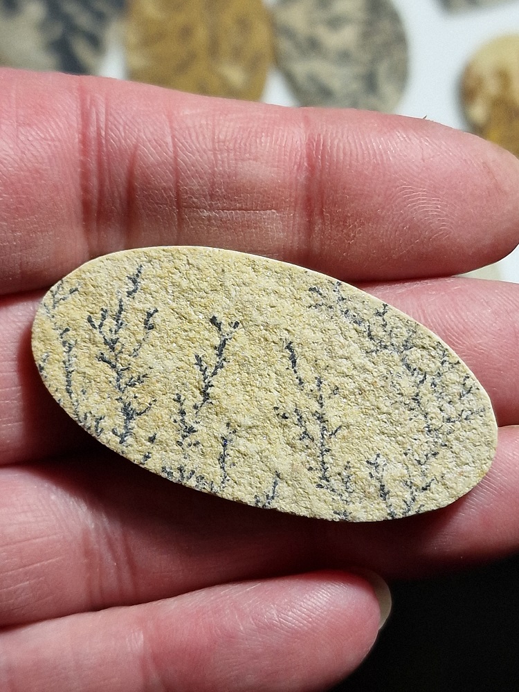 50x25mm Psilomelane Dendrite cabochon