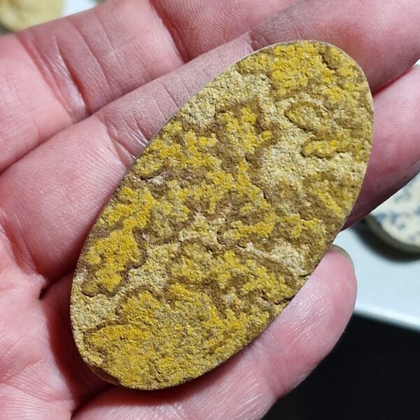 60x32mm Psilomelane Dendrite cabochon