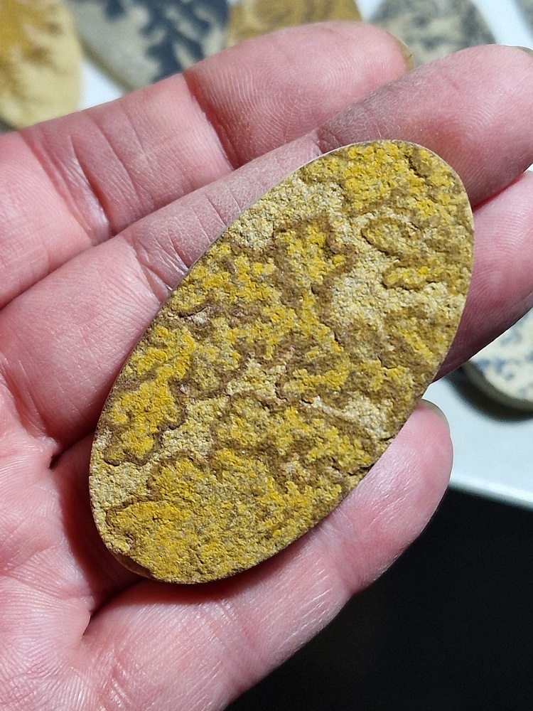 60x32mm Psilomelane Dendrite cabochon