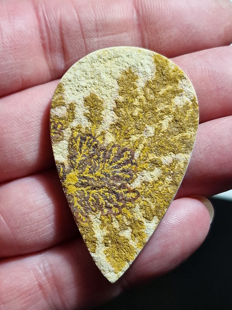 54x34mm Psilomelane Dendrite cabochon