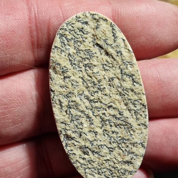 50x26mm Psilomelane Dendrite cabochon