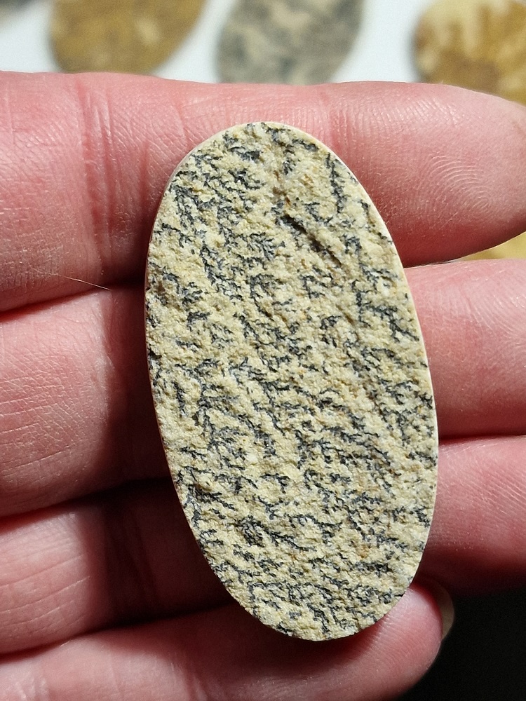 50x26mm Psilomelane Dendrite cabochon
