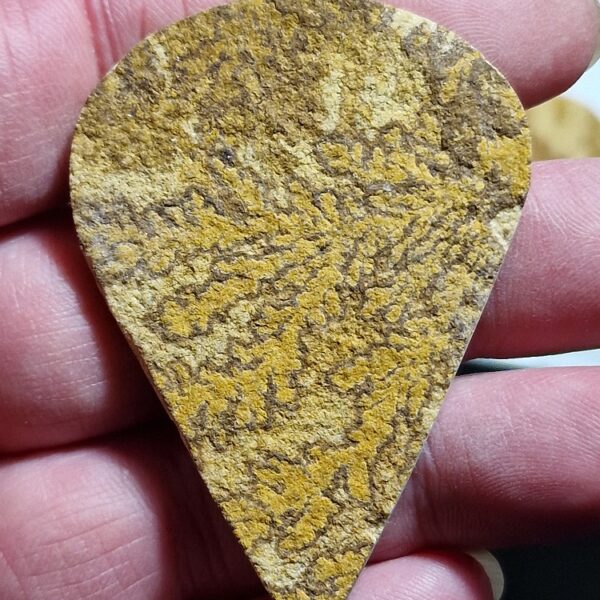 60x43mm Psilomelane Dendrite cabochon