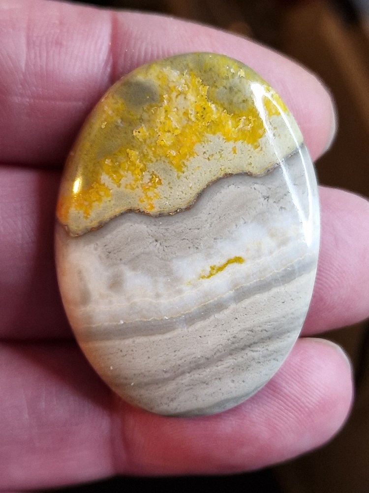42x30mm bumblebee jasper cabochon